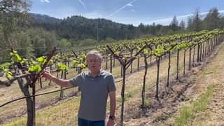Join Rudy von Strasser as he walks you through spring growth in his vineyard! 
 …